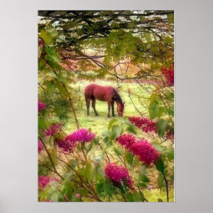 Póster Caballo y lilas