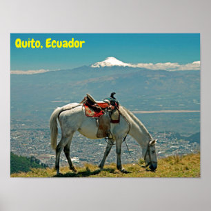 Póster Caballo y volcán, Quito, Ecuador