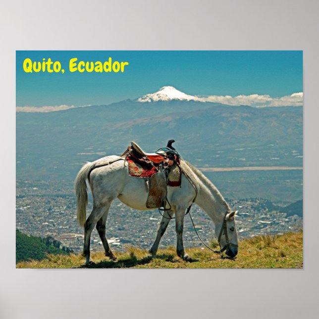 Póster Caballo y volcán, Quito, Ecuador (Frente)