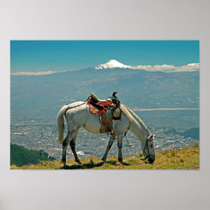 Póster Caballo y volcán, Quito, Ecuador