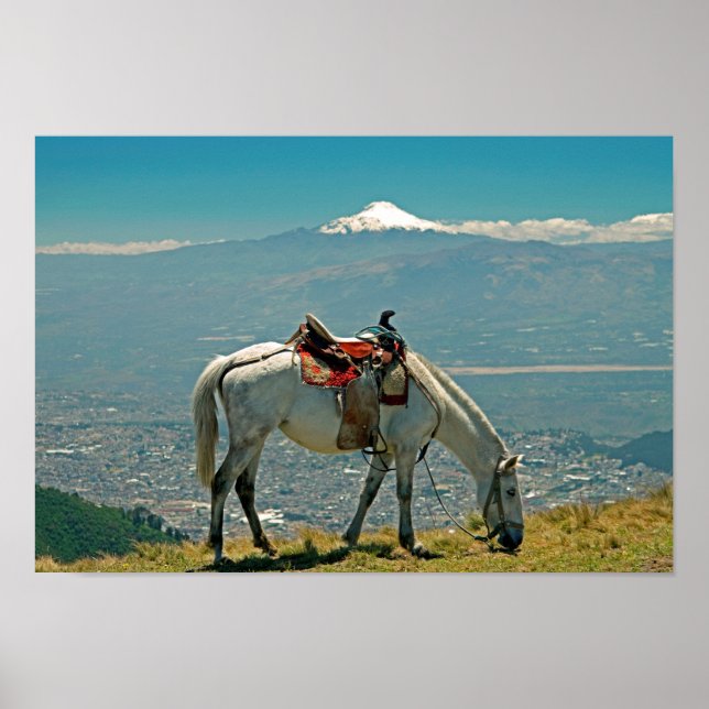 Póster Caballo y volcán, Quito, Ecuador (Frente)