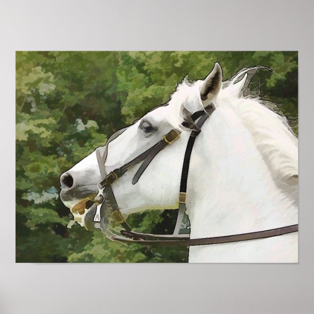 PÓSTER CABALLOS (Frente)