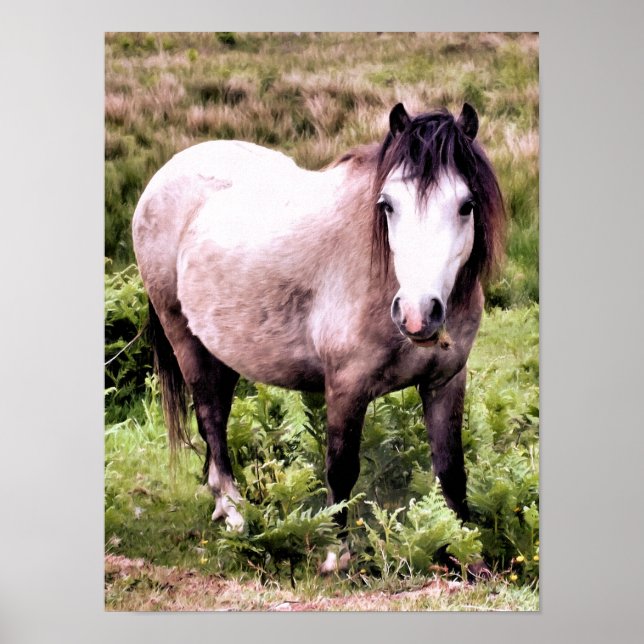 PÓSTER CABALLOS (Frente)