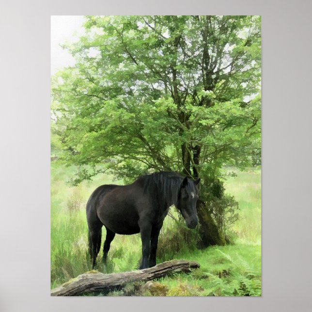 PÓSTER CABALLOS (Frente)