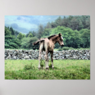 PÓSTER CABALLOS