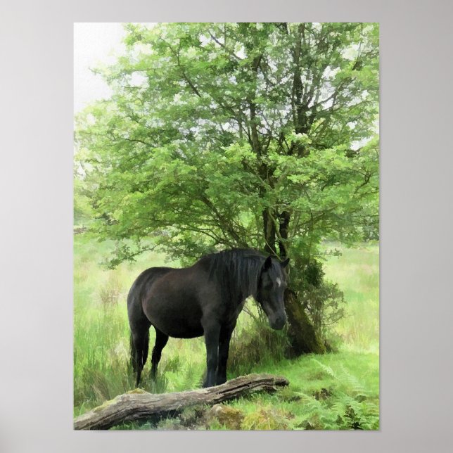 PÓSTER CABALLOS (Frente)