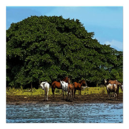 Póster Caballos a orillas del agua - Costa Rica
