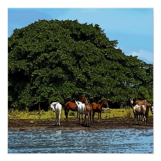 Póster Caballos a orillas del agua - Costa Rica (Anverso)