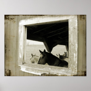Póster Caballos A Través De Una Ventana De Barn