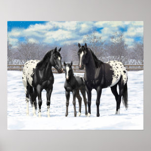 Póster Caballos Appaloosa Negros En Nieve