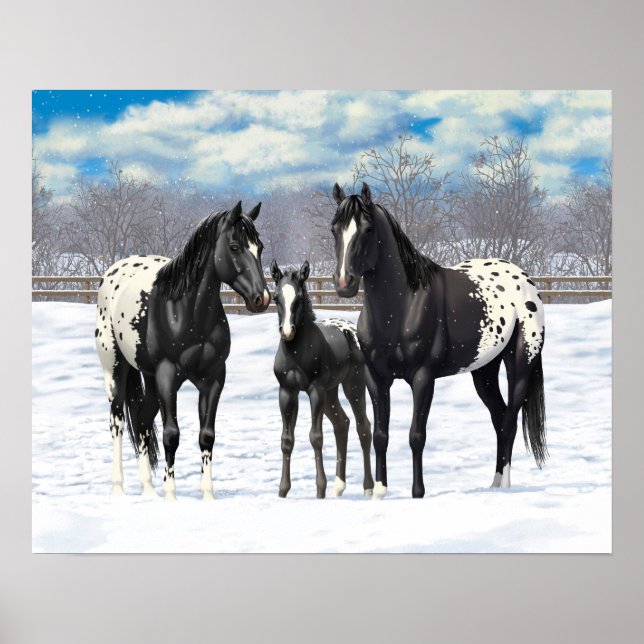 Póster Caballos Appaloosa Negros En Nieve (Frente)