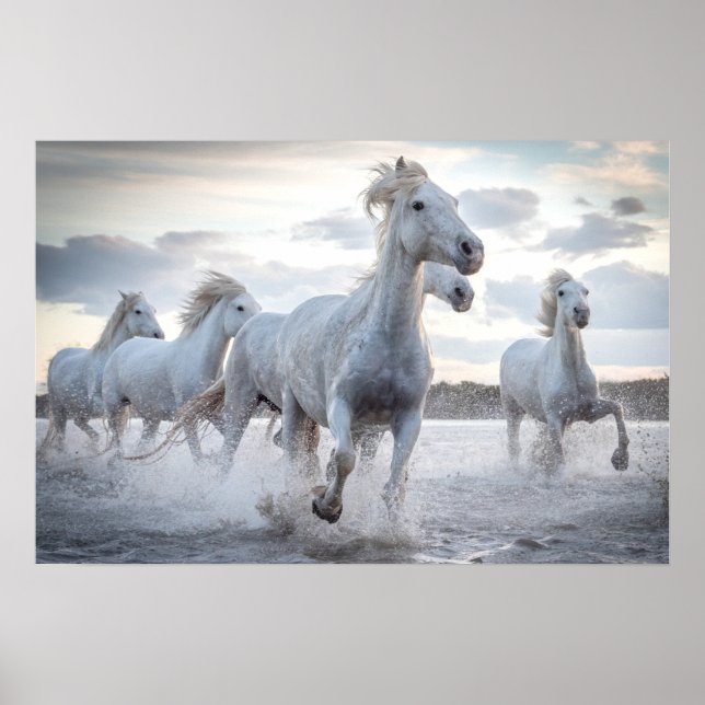 Póster Caballos Blancos (Frente)