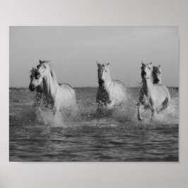 Póster Caballos blancos, océano, fotografía en blanco y n