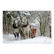 Caballos Borrando Sleigh