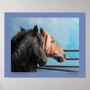 Póster Caballos/Cabalos/Horses