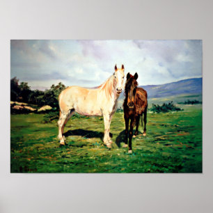 Póster Caballos/Cabalos/Horses