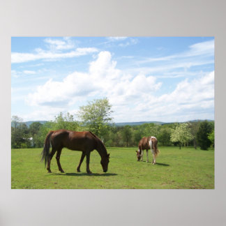 Póster Caballos con los campos hermosos