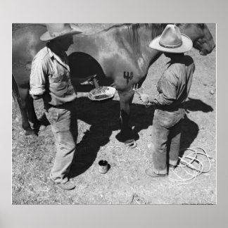 Póster Caballos con marca de horquilla