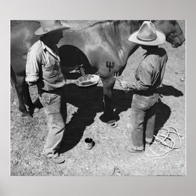 Póster Caballos con marca de horquilla (Frente)