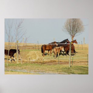 Póster Caballos con Poster de fotografía agrícola