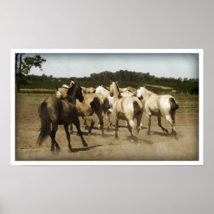 Póster Caballos corriendo