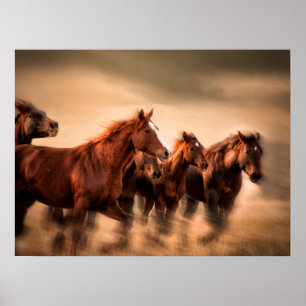 Póster Caballos corriendo
