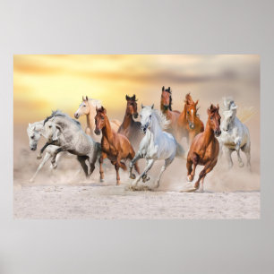 Póster Caballos corriendo