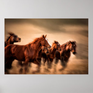 Póster Caballos corriendo, desenfoque y crines voladoras