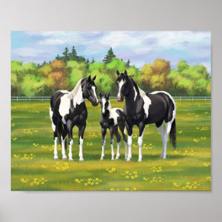Póster Caballos Cuarto de Milla Pintos Negros en Pastizal