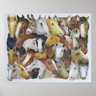Póster Caballos de caballos