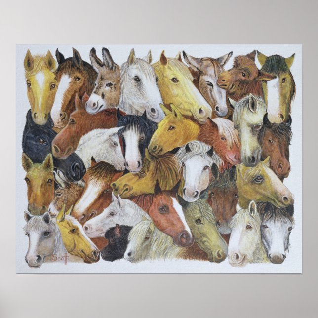 Póster Caballos de caballos (Frente)