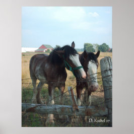 Póster Caballos de Clydesdale