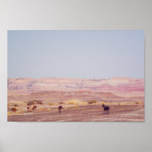 Póster Caballos de desierto americanos P8670