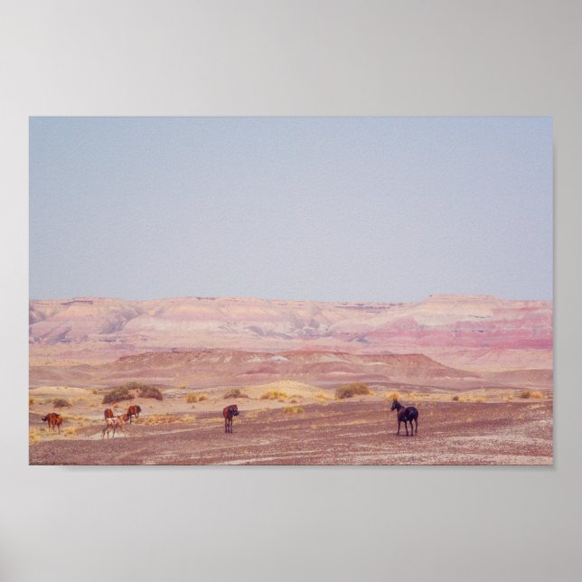 Póster Caballos de desierto americanos P8670 (Frente)