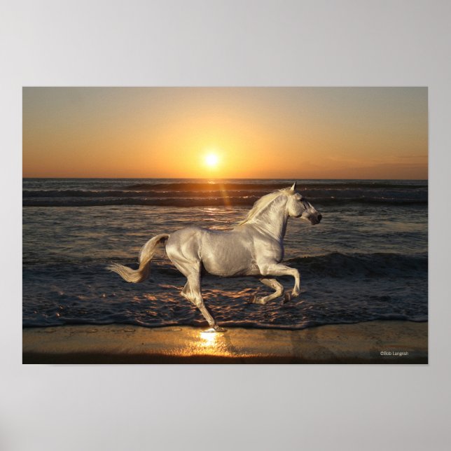 Póster Caballos de fantasía: Atardecer (Frente)