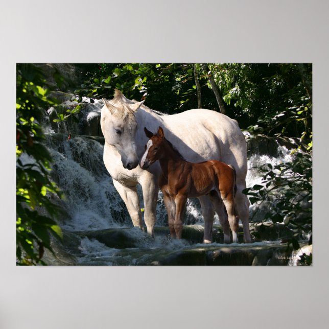 Póster Caballos de fantasía: Cascada (Frente)