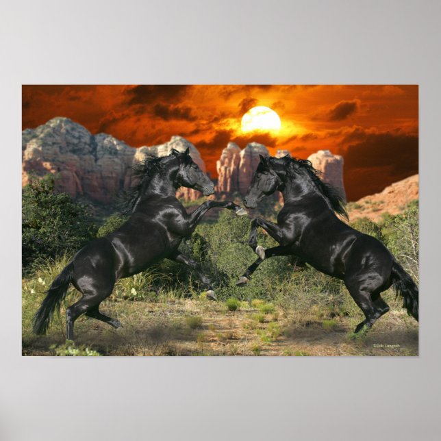 Póster Caballos de fantasía: magia negra (Frente)