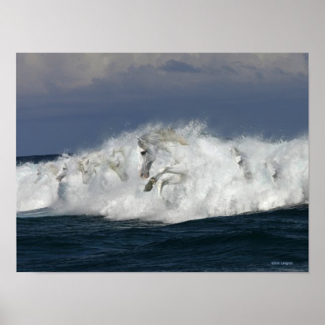 Póster Caballos de fantasía: mar (Frente)