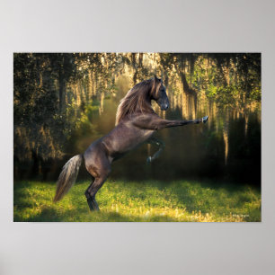 Póster Caballos de fantasía: Príncipe Guerrero