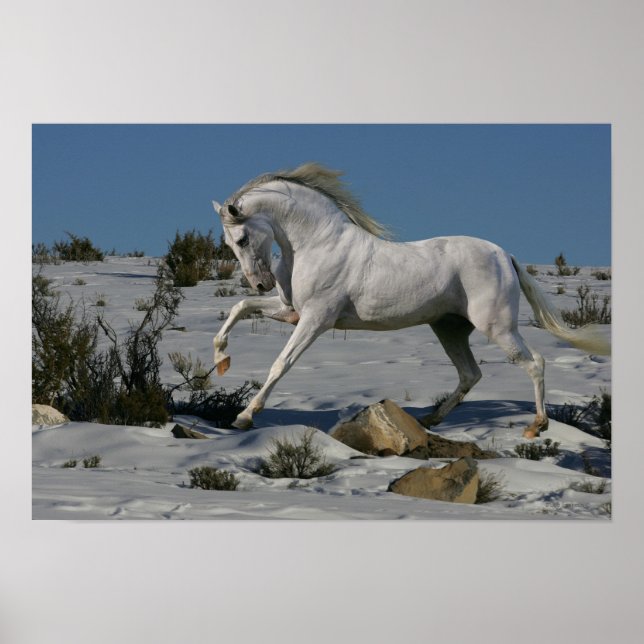 Póster Caballos de fantasía: Rey de nieve (Frente)