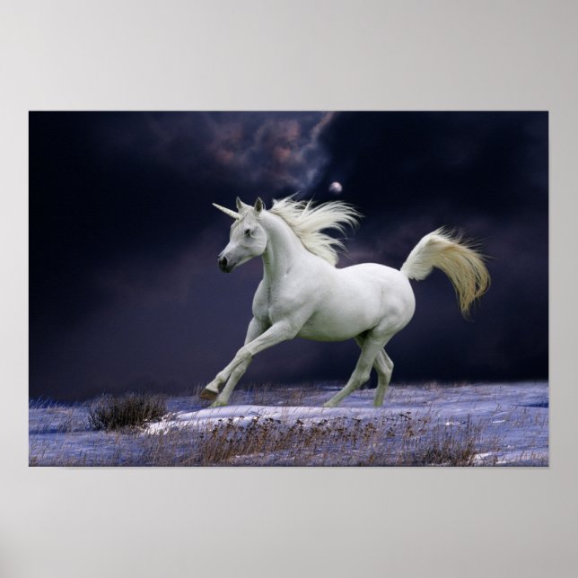 Póster Caballos de fantasía: Unicornio (Frente)