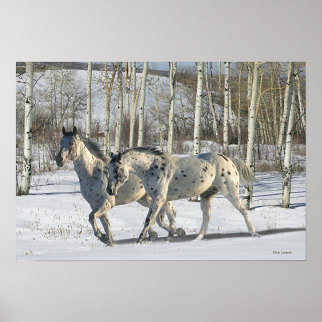 Póster Caballos de fantasía: Winter Wonderland (Frente)