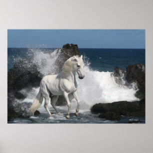 Póster Caballos de la fantasía: Mares meridionales