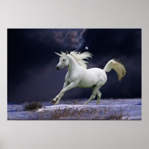 Póster Caballos de la fantasía: Unicornio