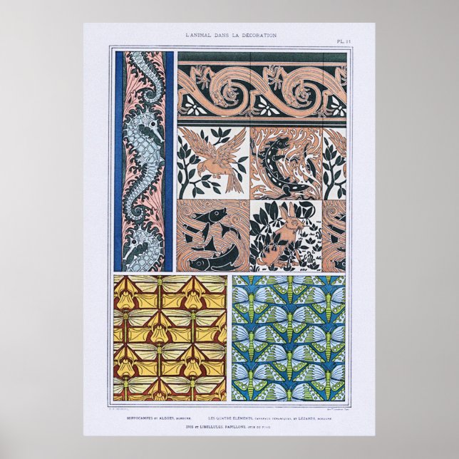 Póster Caballos de mar, lagartos, libélulas, mariposas (Frente)