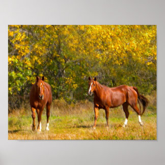 Póster Caballos de otoño