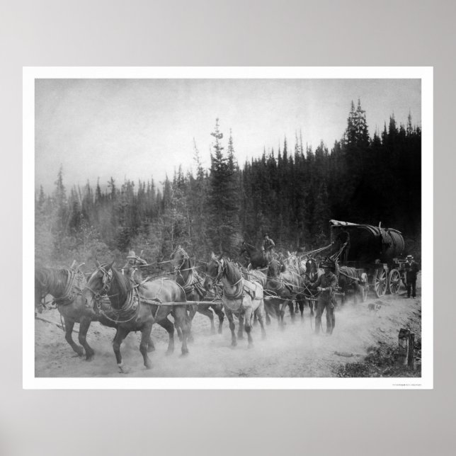 Póster Caballos de Sendero de Ultramar Alaska 1908 (Frente)