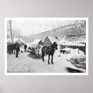 Póster Caballos de Sendero Valdez Alaska 1912