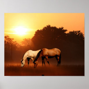 Póster Caballos de Sunrise