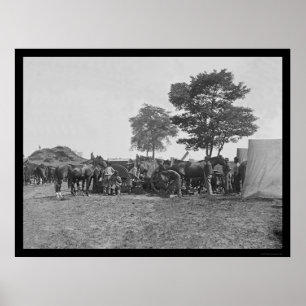 Póster Caballos de tiro de herrero en Antietam 1862